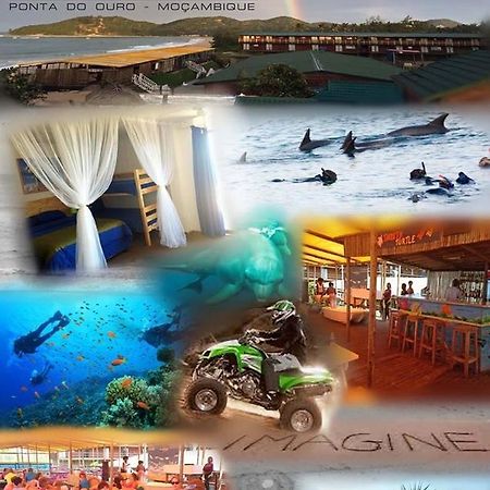 Paraiso Do Ouro Beach Front Resort Budget Accommodation 폰타 도 오우로 외부 사진