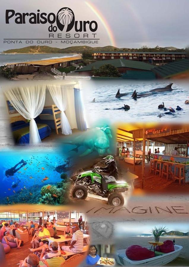 Paraiso Do Ouro Beach Front Resort Budget Accommodation 폰타 도 오우로 외부 사진